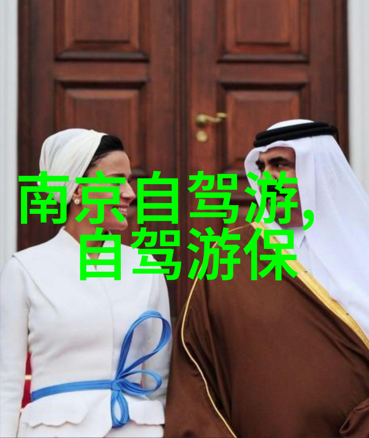 御者之妻守护与追求