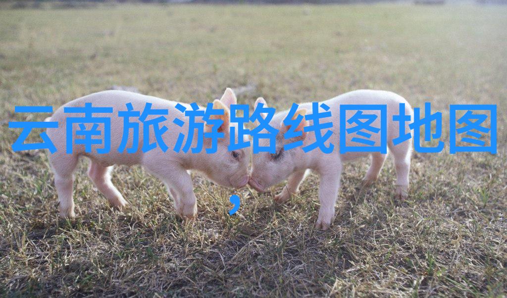 北海的海上奇遇探索珠江口的美丽风情