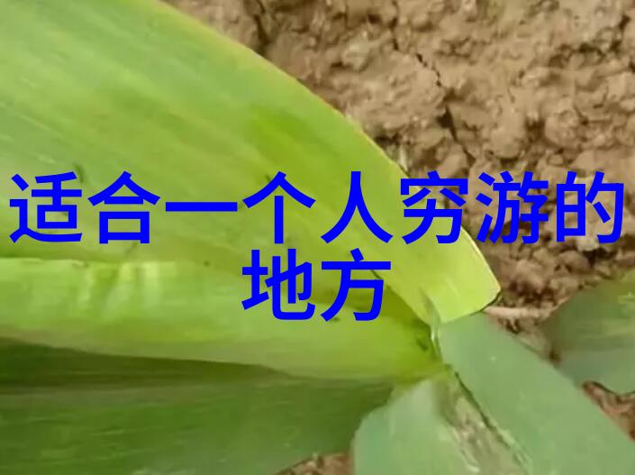 远方的风景318线上的自驾奇遇