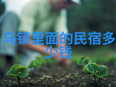 大理洱海畔漫步如何欣赏到最壮观的一幕