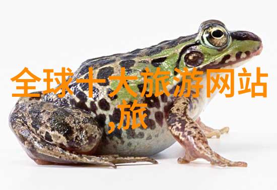 探秘中国四大名街的美食世界