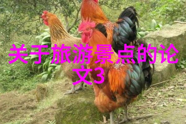 杭州大学生拍二次元毕业照自由行攻略昆明大理丽江物品游记