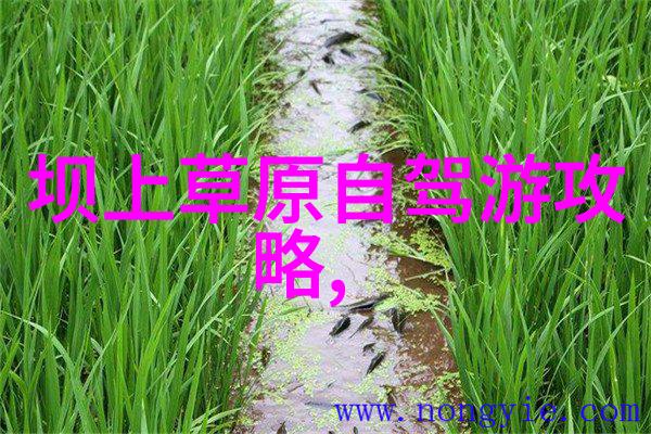 烟台市区热门游览地大明湖畔的宁静之境