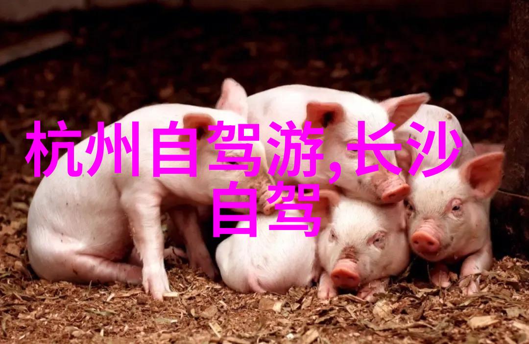 海外梦断背后的真相探究