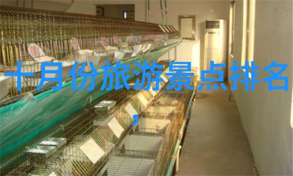 雁荡山旅游攻略-探秘浙江美丽的翠峦雁荡山必游景点全解析