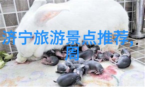 奇遇录小人国的精彩篇章