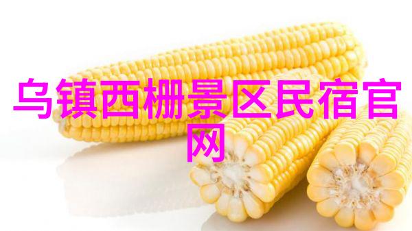 探索时尚全球独特旅行目的地揭秘