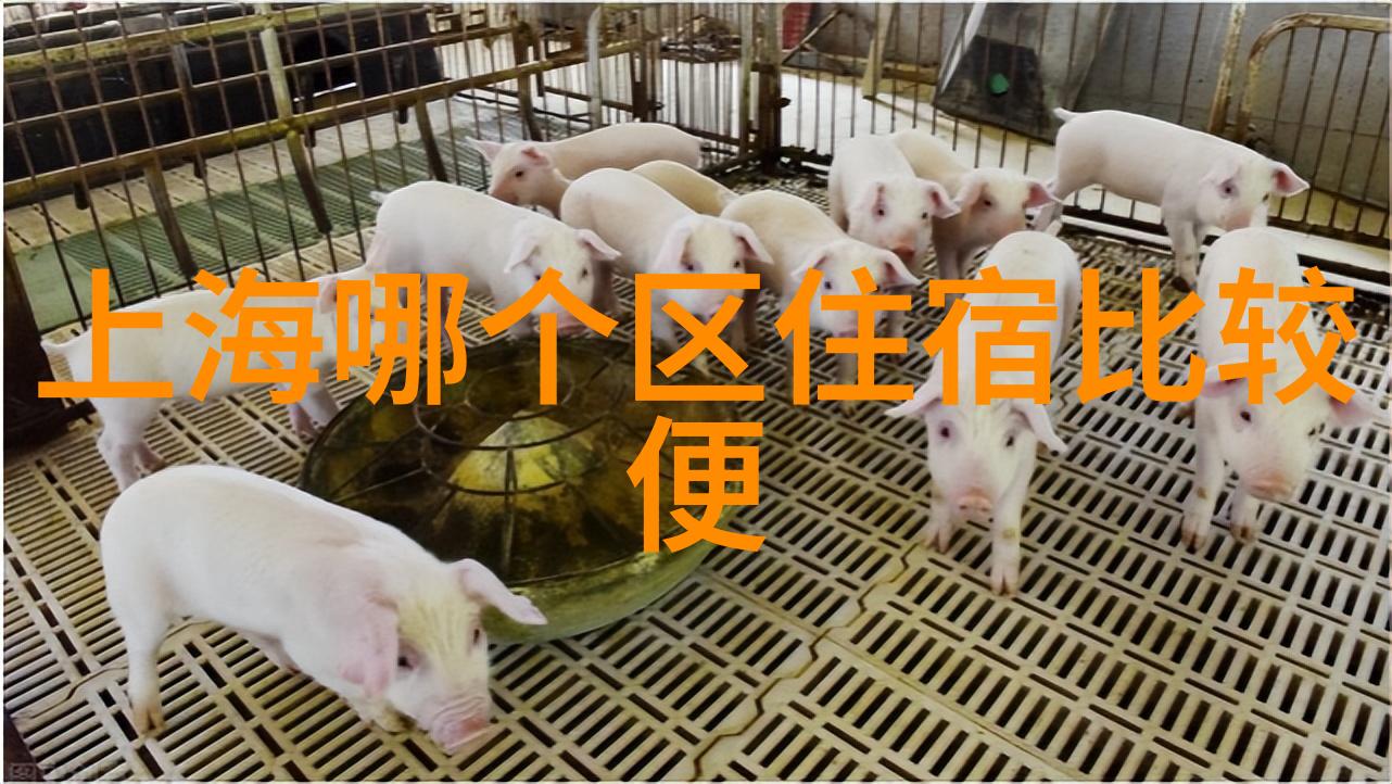 中国旅游人气热门景点排行榜2023探索中国最受欢迎的旅游目的地