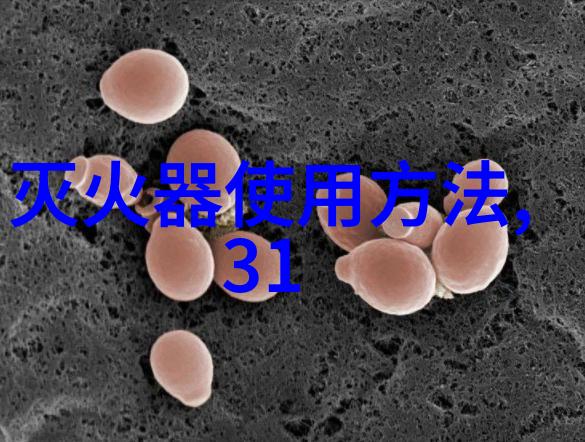 生物多样性的宝库全球野生动物保护区游览指南