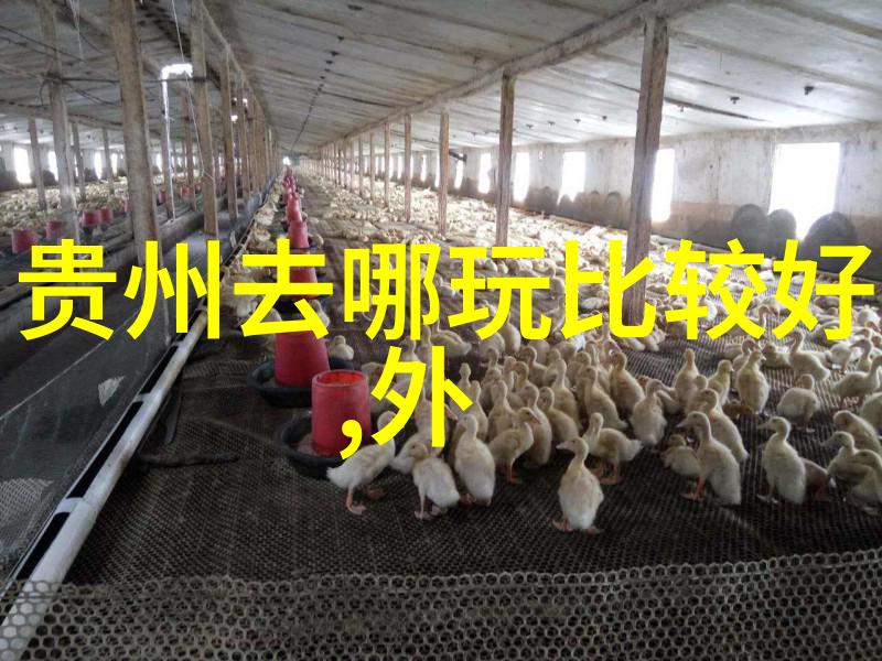 探索嵊泗列岛美丽风光自驾游攻略详解