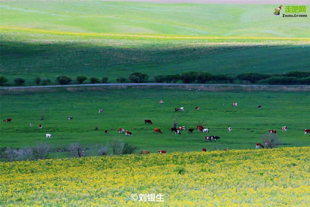 内蒙自驾游_自驾内蒙游路线_自驾内蒙旅游攻略自助游攻略/