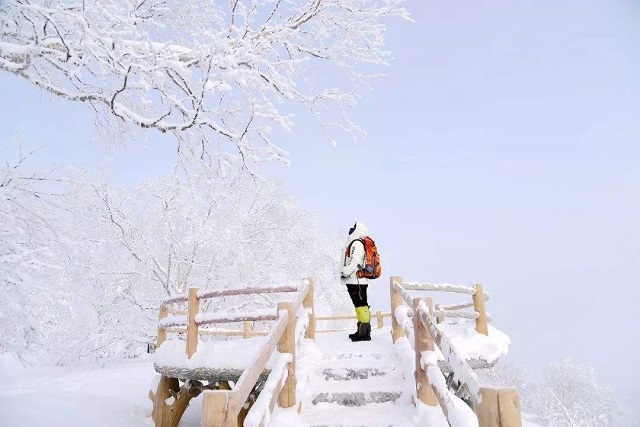 雪乡自驾游攻略_自驾雪乡旅游攻略_自驾游雪乡大概多少钱/
