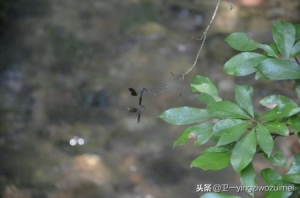 长沙到张家界自驾游详细攻略长沙到张家界旅游攻略24/