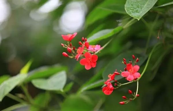 三亚景点游玩攻略_三亚景点攻略旅游推荐去哪里_三亚旅游攻略必去景点推荐/