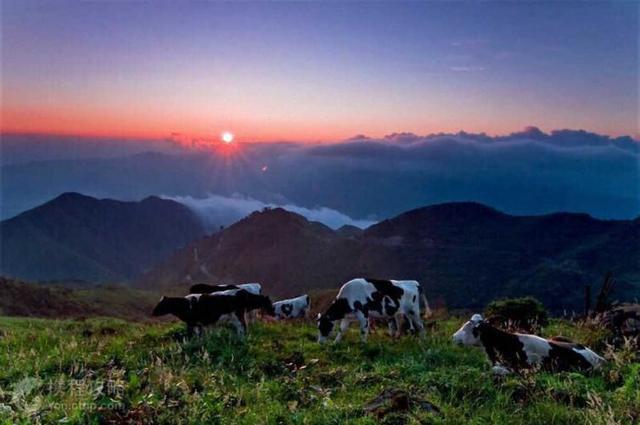 自驾游_自驾游去张家界旅游最佳路线_自驾游去呼伦贝尔大草原攻略/