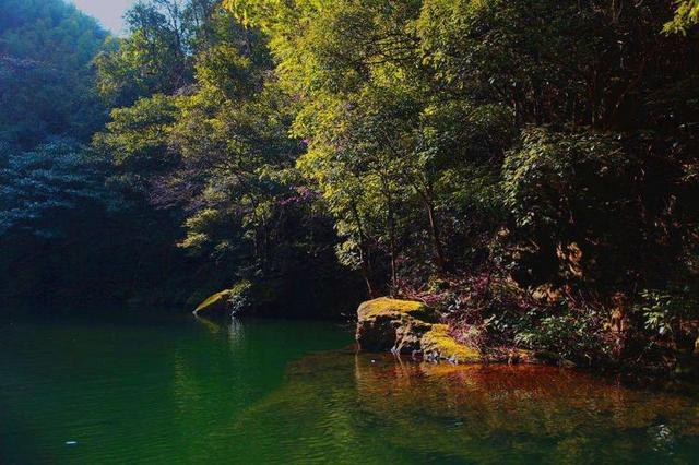 自驾游_自驾游去呼伦贝尔大草原攻略_自驾游去张家界旅游最佳路线/