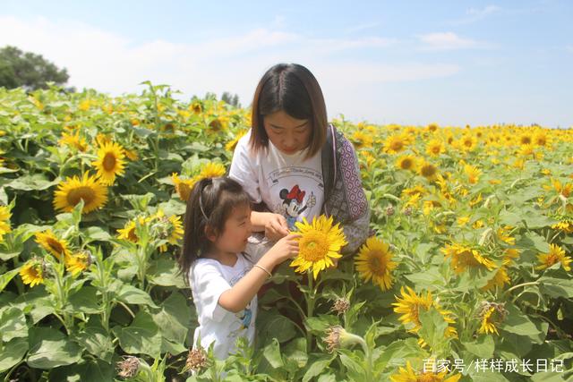 自驾游买什么保险好_自驾游_自驾游去呼伦贝尔大草原攻略/
