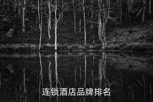 连锁酒店品牌排名/