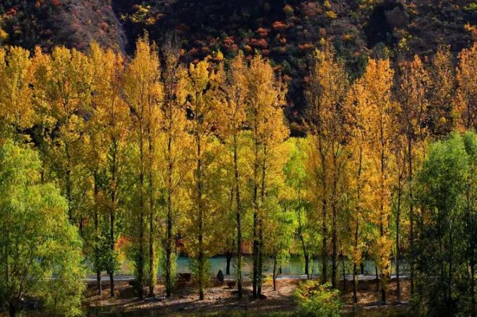 过年旅游哪里好玩自驾_柳州附近自驾哪里好玩_附近旅游景区哪里好玩自驾游/