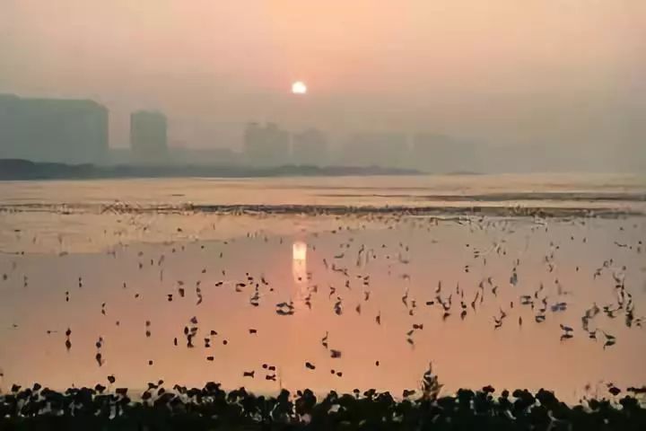 北戴河旅游攻略必玩的景点_深圳旅游攻略景点推荐_兰州旅游攻略景点必去