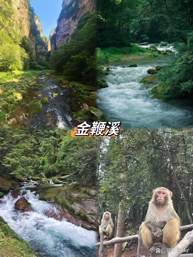 自驾张家界游最佳路线_自驾张家界游路线_张家界自驾游/