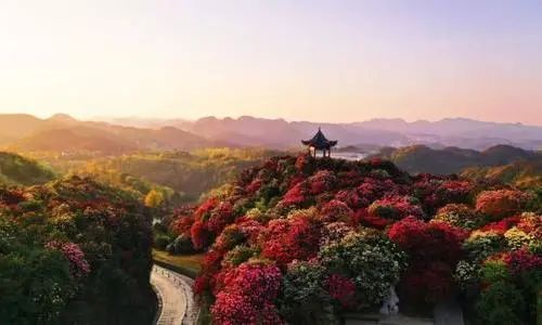贵州荔波旅游攻略景点必去_贵州荔波旅游地图_贵州荔波旅游发展集团/