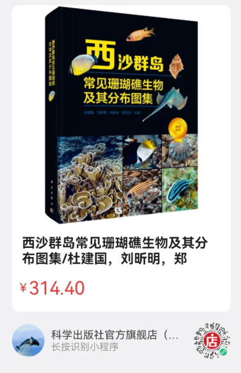 西沙群岛的图_西沙群岛的海岛图片_西沙群岛图片